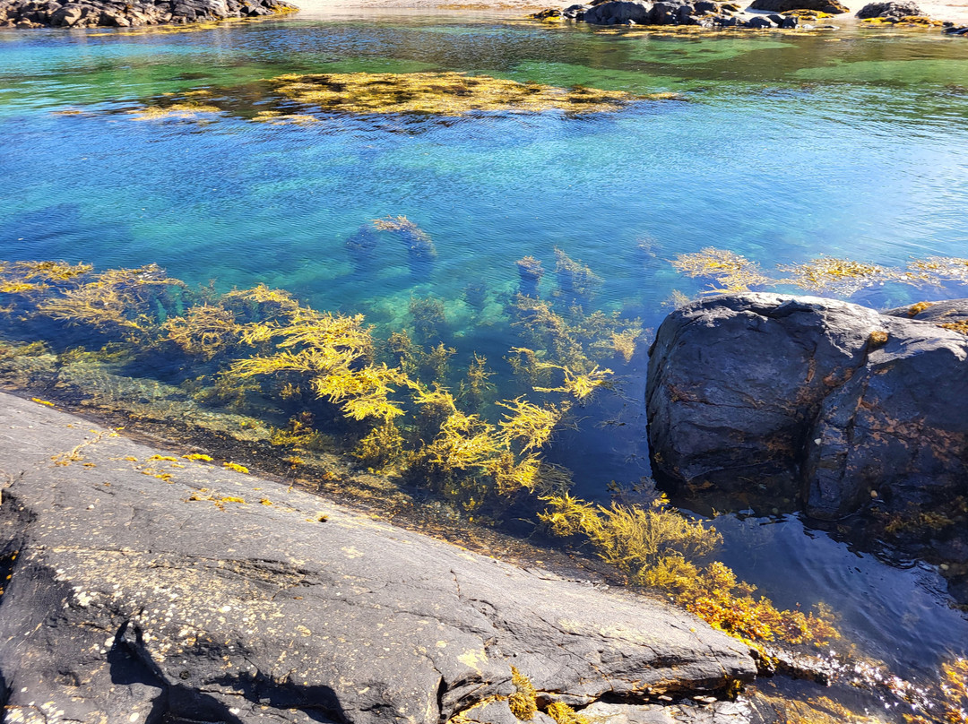 Coral Beach-Plockton必去景点