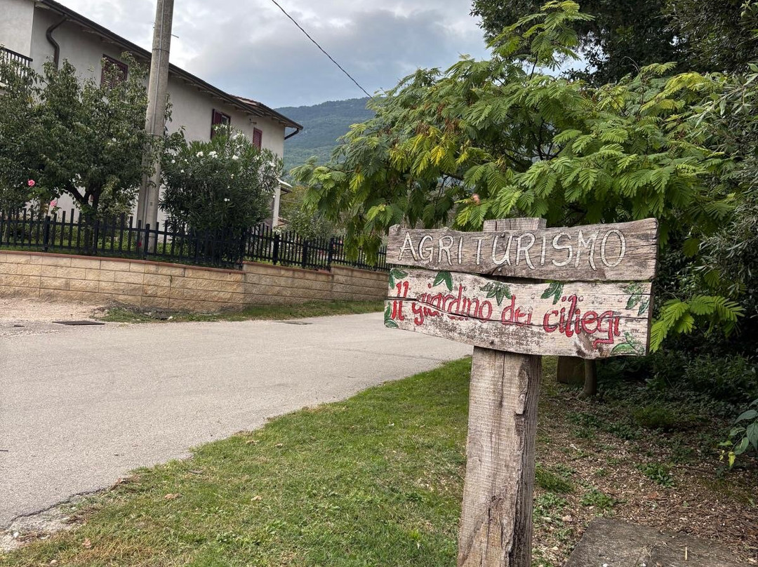 Agriturismo Il Giardino dei Ciliegi主图