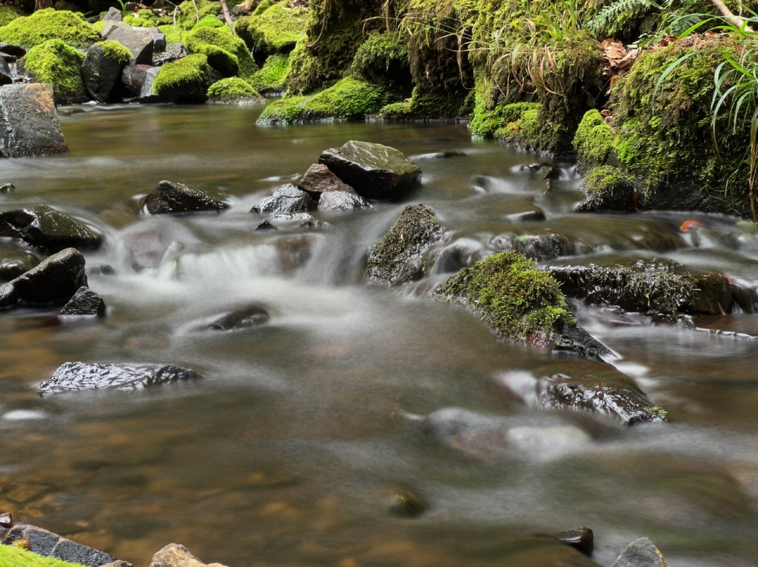 Forsakar Nature Reserve-Degeberga必去景点