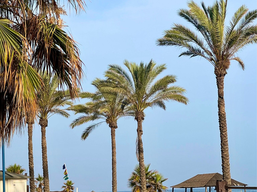 Hotel Santa Rosa主图