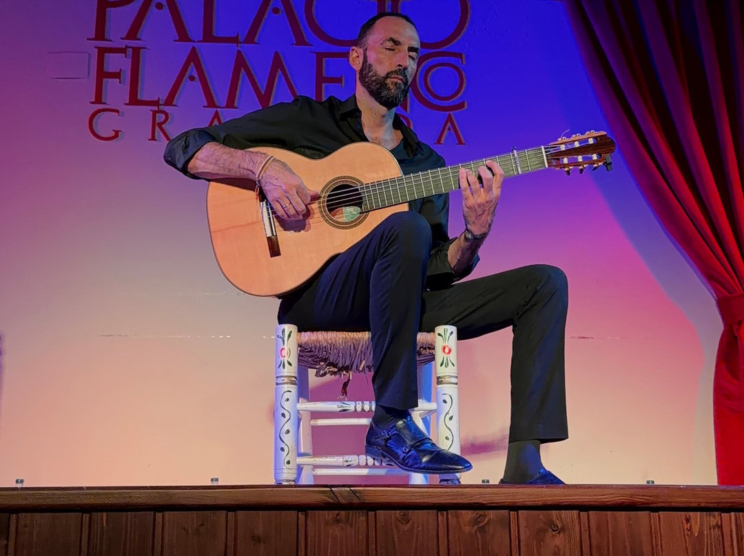 Palacio Flamenco-格拉纳达必去景点