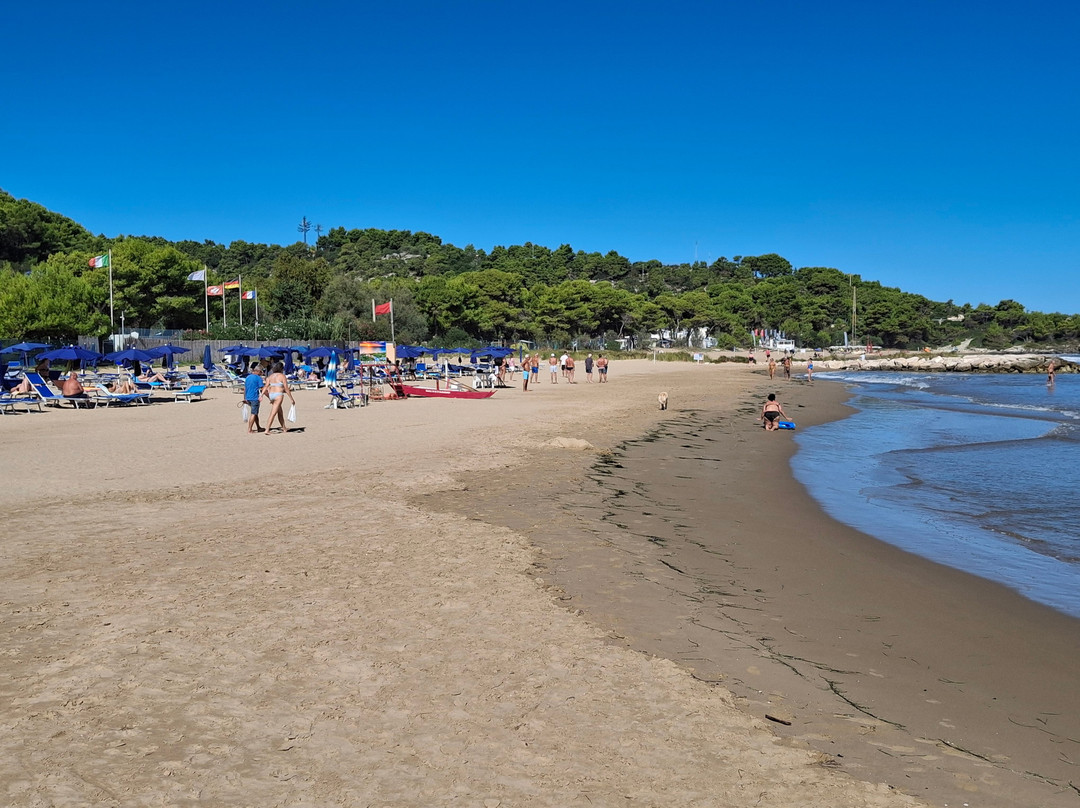 Hotel Gabbiano Beach Vieste - Village and Residence主图