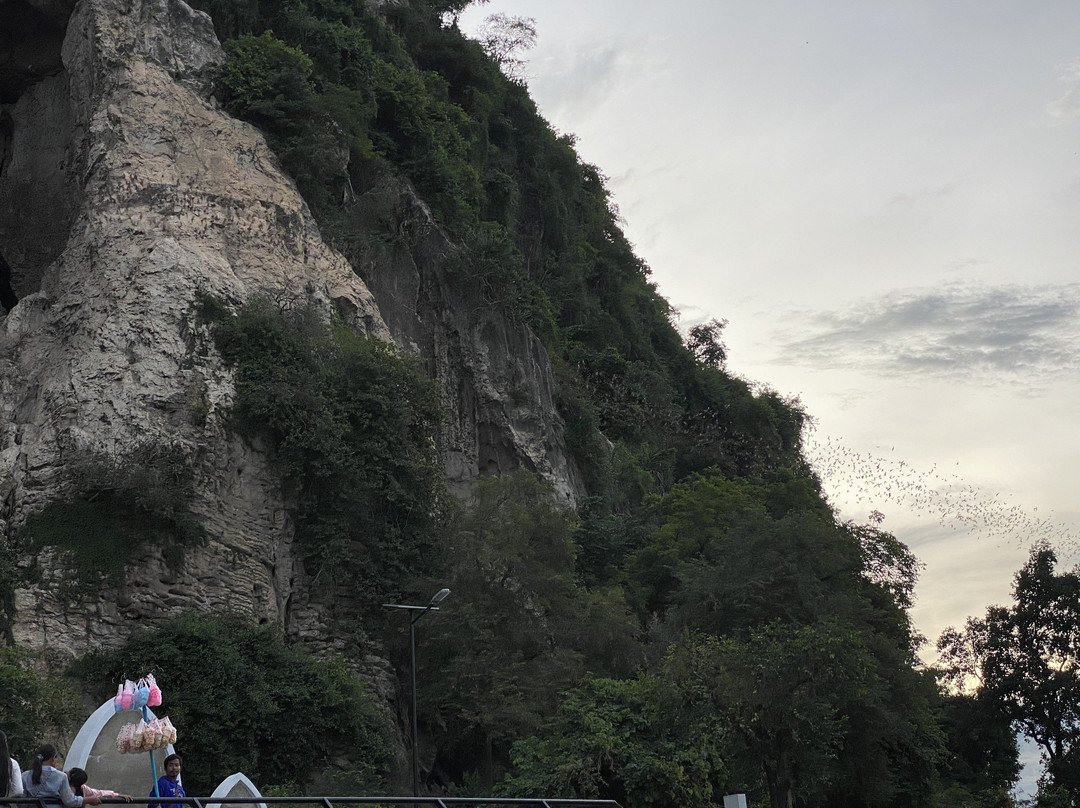 Battambang Bat Caves-马德望必去景点