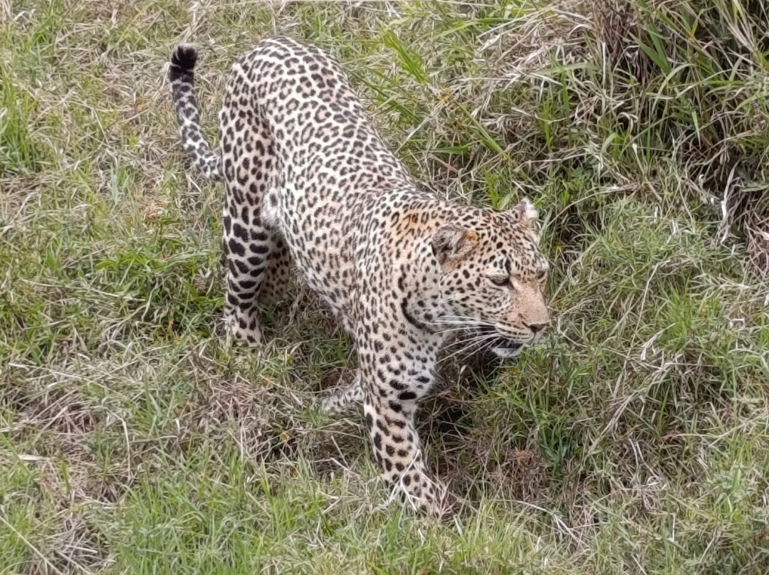 Destinations Kenya Safari-内罗毕必去景点