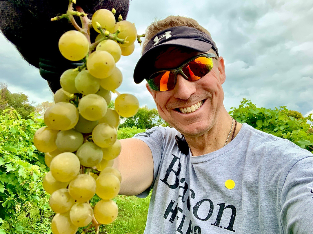 Grape Mill Vineyard and Winery-East Grand Forks必去景点