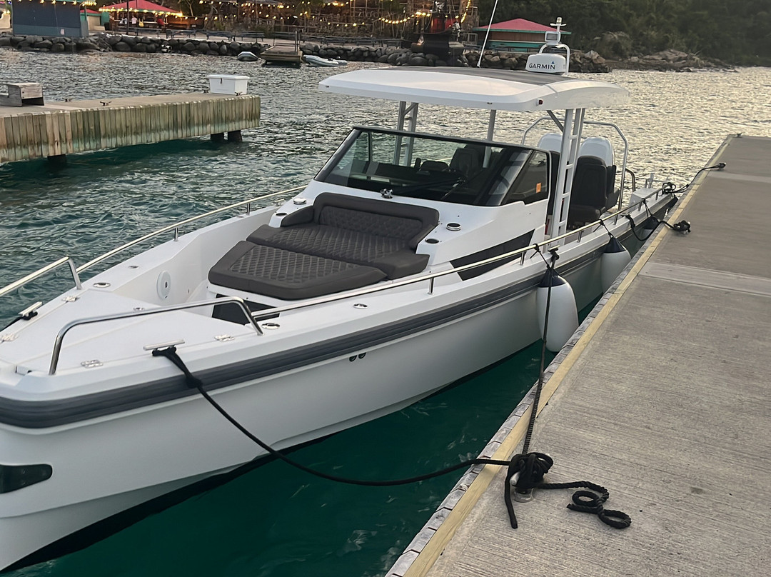 Blue Runner Charters And Boat Rentals-Spanish Town必去景点