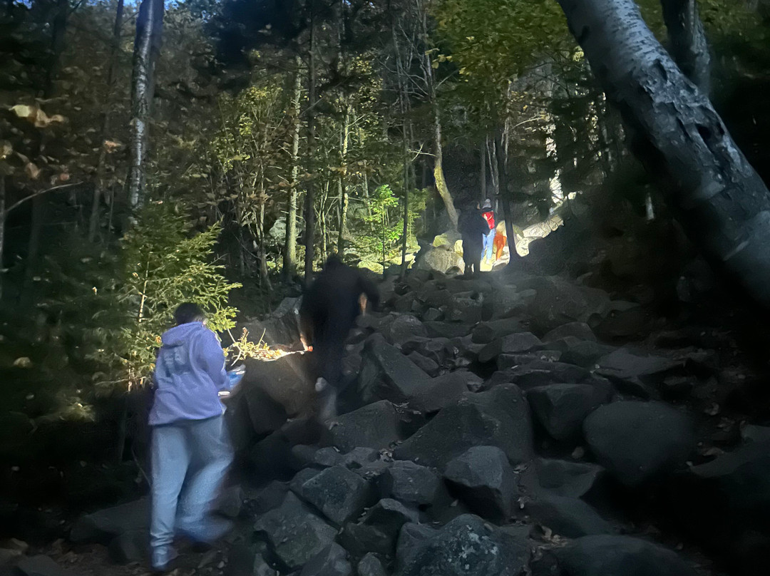 Artist Bluff Trail-弗朗科尼亚必去景点