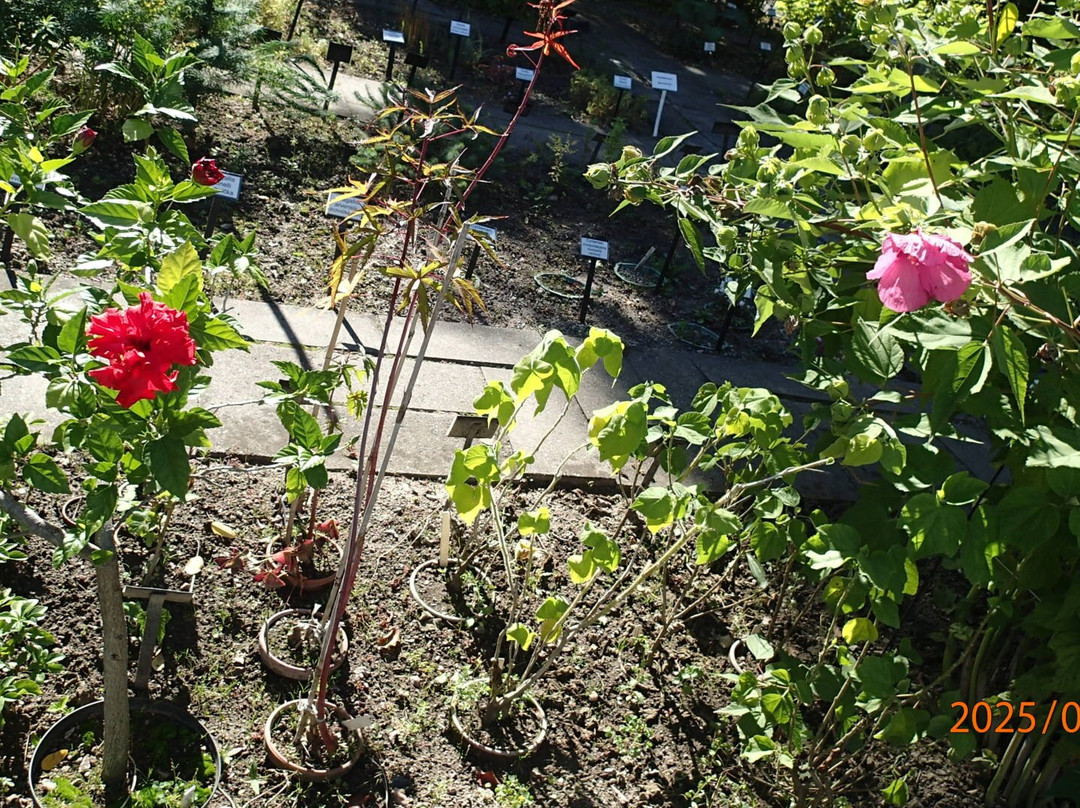 Botanicka Zahrada (Hortus Botanicus)-布尔诺必去景点