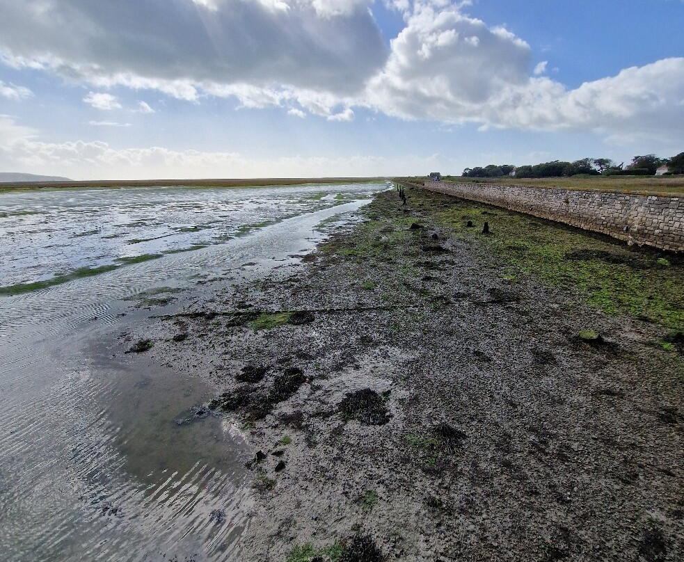 Lymington & Keyhaven Marshes-利明顿必去景点