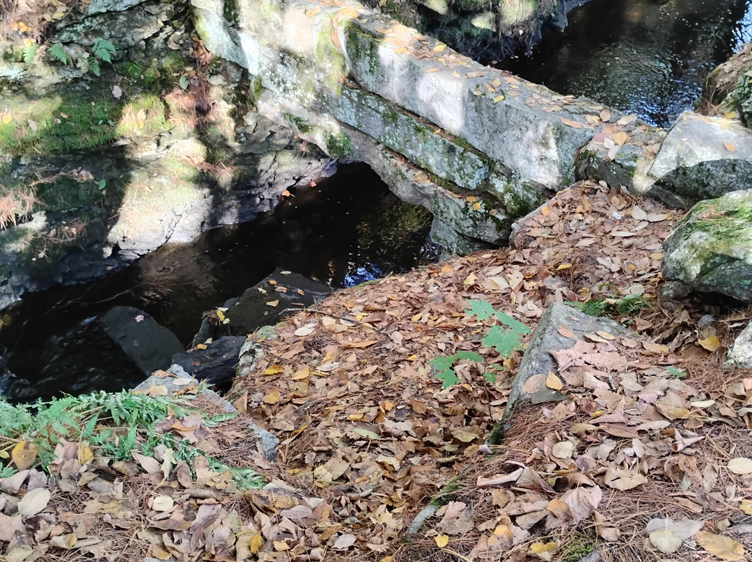 Snow Falls-West Paris必去景点