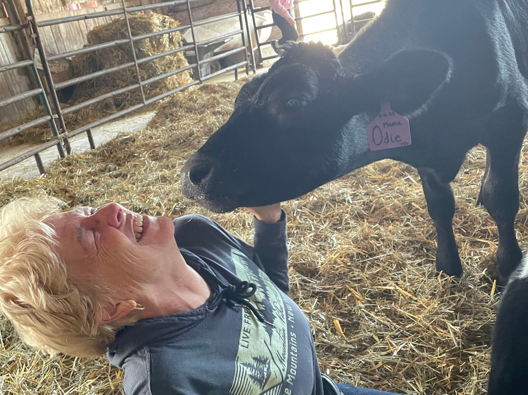 Sunset View Creamery-Odessa必去景点