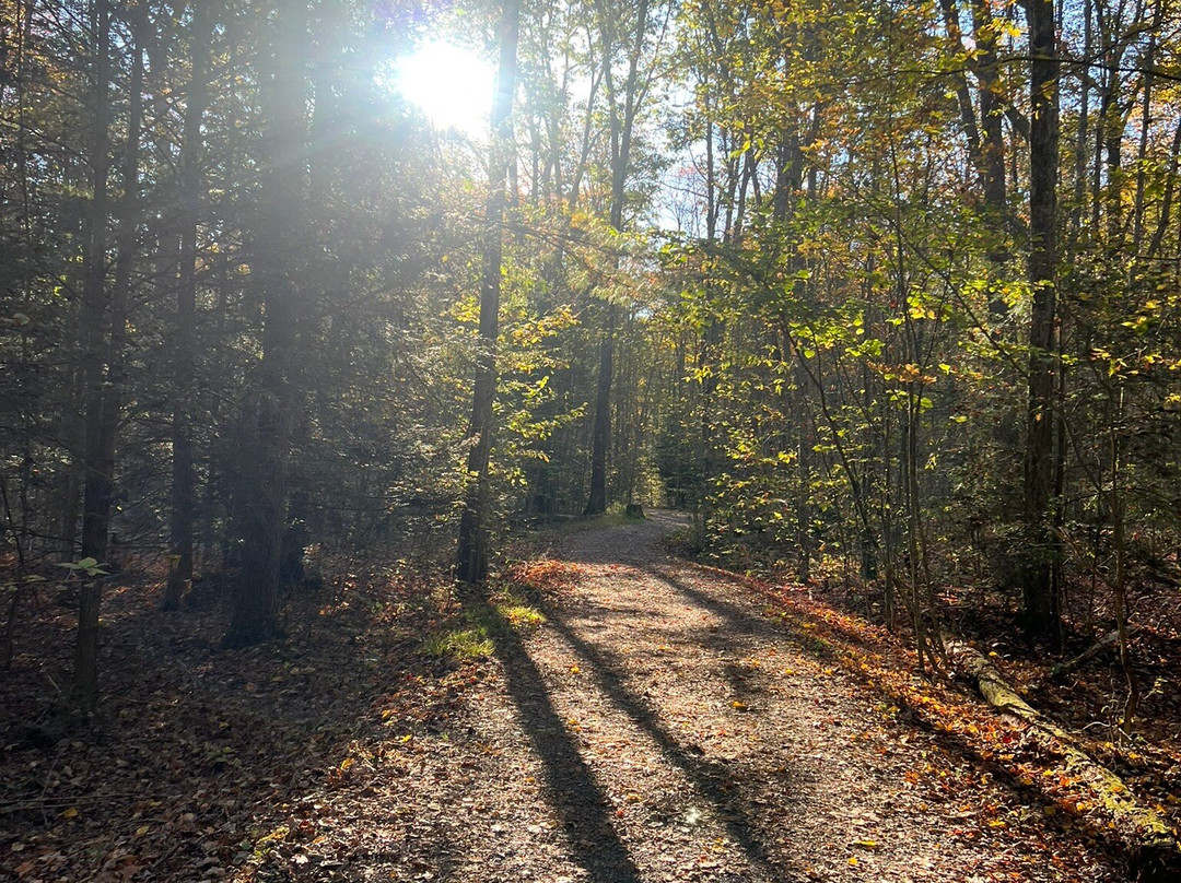 Colton Point State Park-Wellsboro必去景点