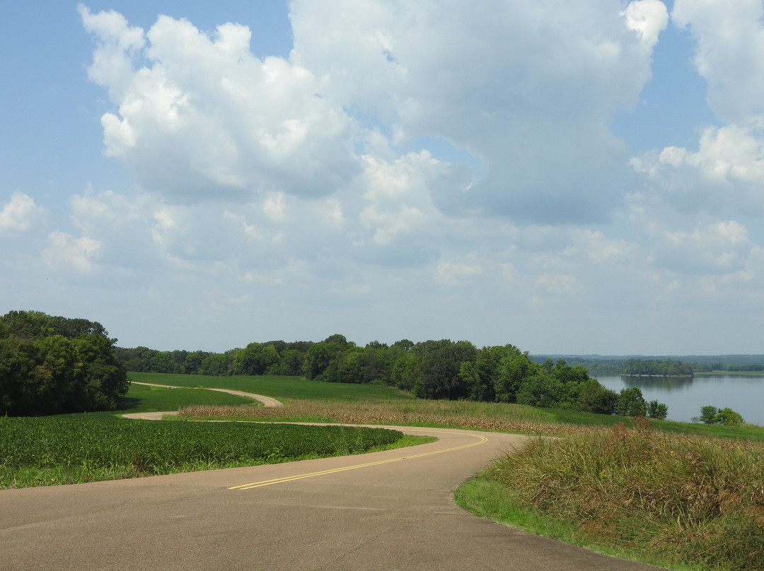 Tennessee National Wildlife Refuge-Springville必去景点