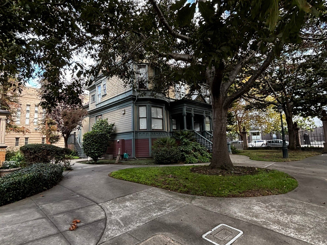 Preservation Park-奥克兰必去景点