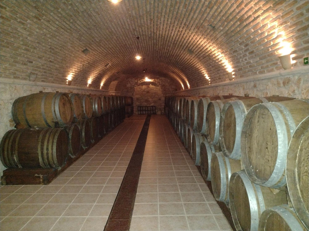 Solomos Wines-扎金索斯镇必去景点