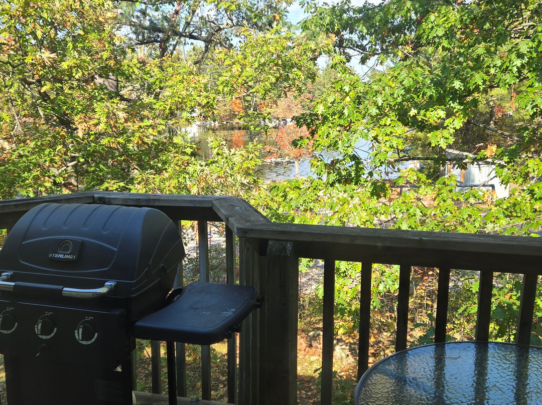 Pine Vista Resort主图