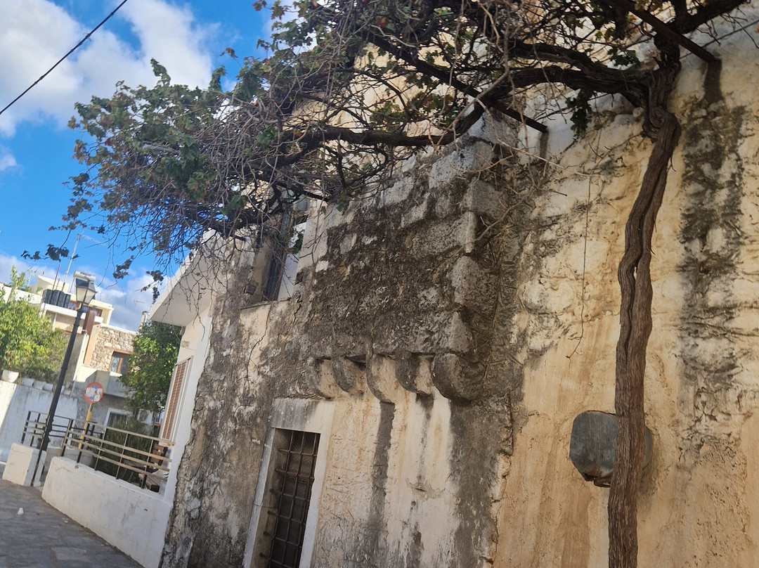 Go Crete Safari-马利亚必去景点