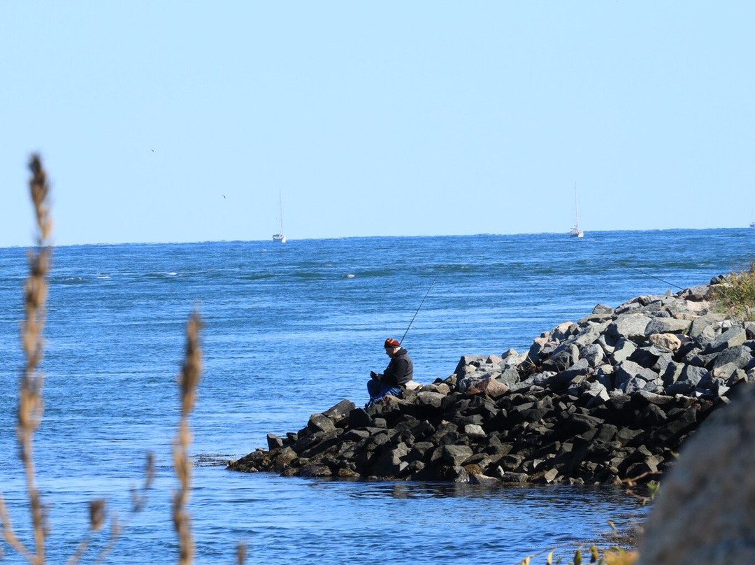 Cape Cod Canal Visitor Center-桑威奇必去景点