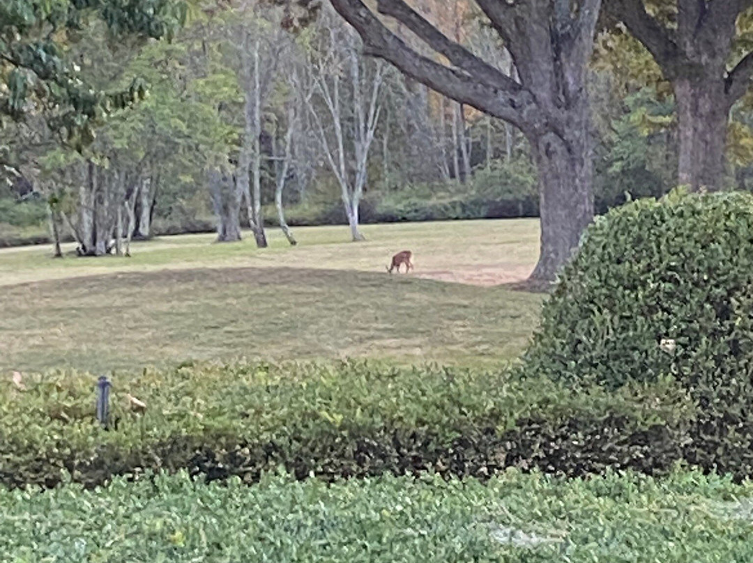 Glenmere Mansion主图