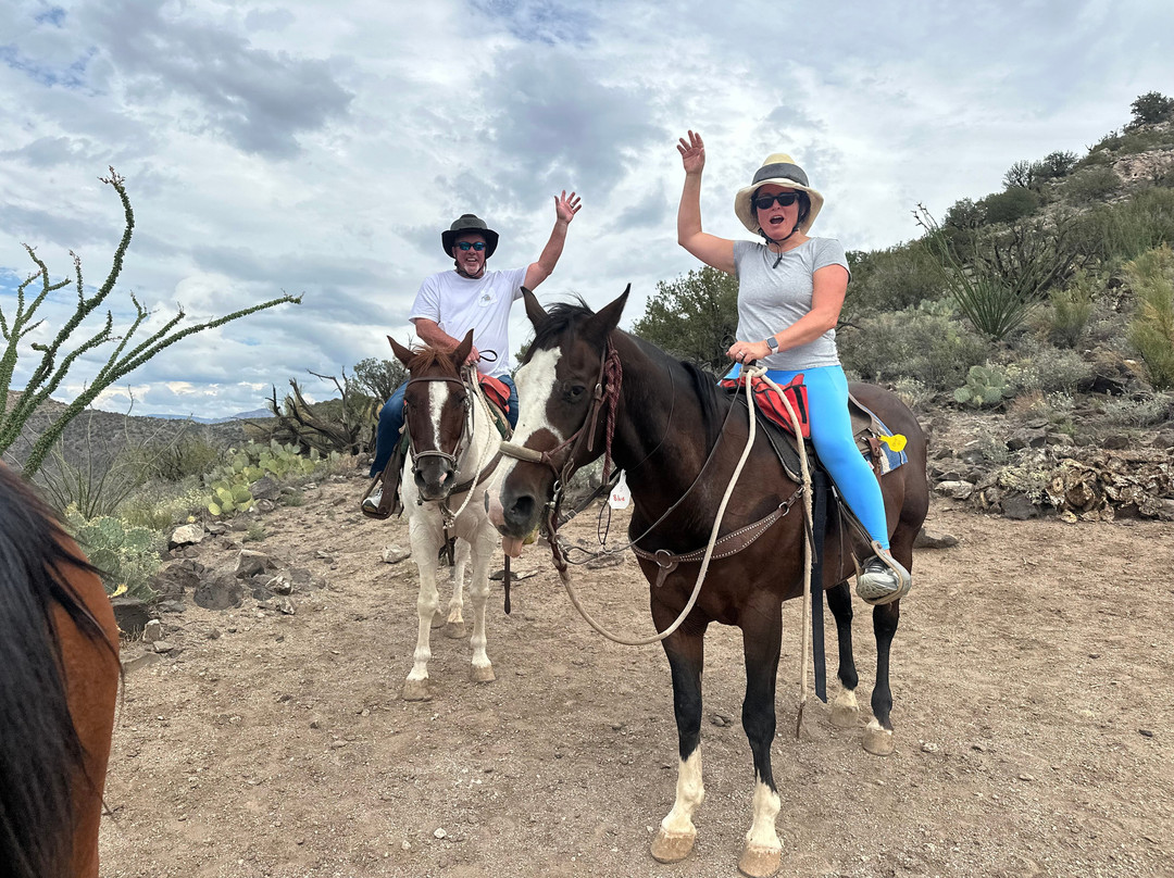 Horsin' Around Adventures-Cornville必去景点