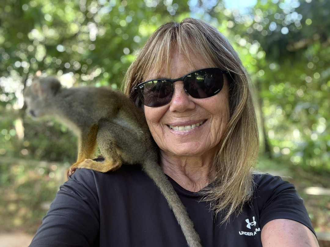 Monkeyland At Samaná