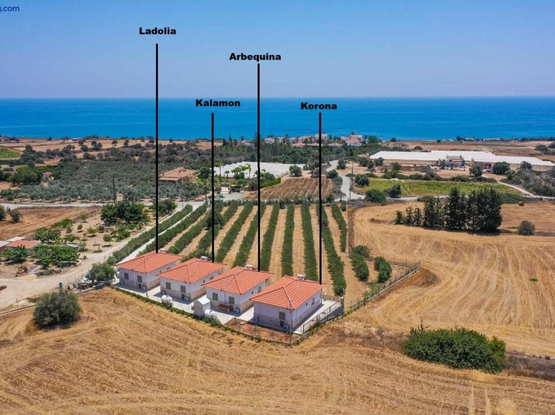 Eleonas Seaview Cottages