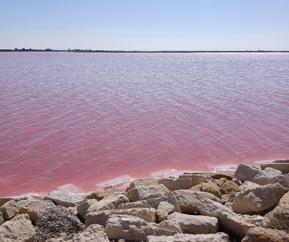 Salin d'Aigues-Mortes-艾格莫尔特必去景点