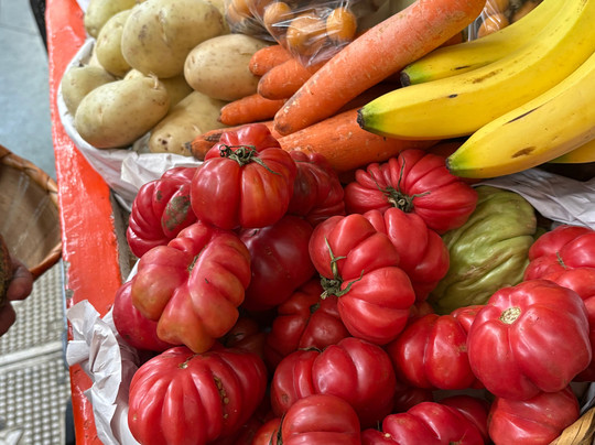 Alma de Mi Tierra-瓦哈卡必去景点