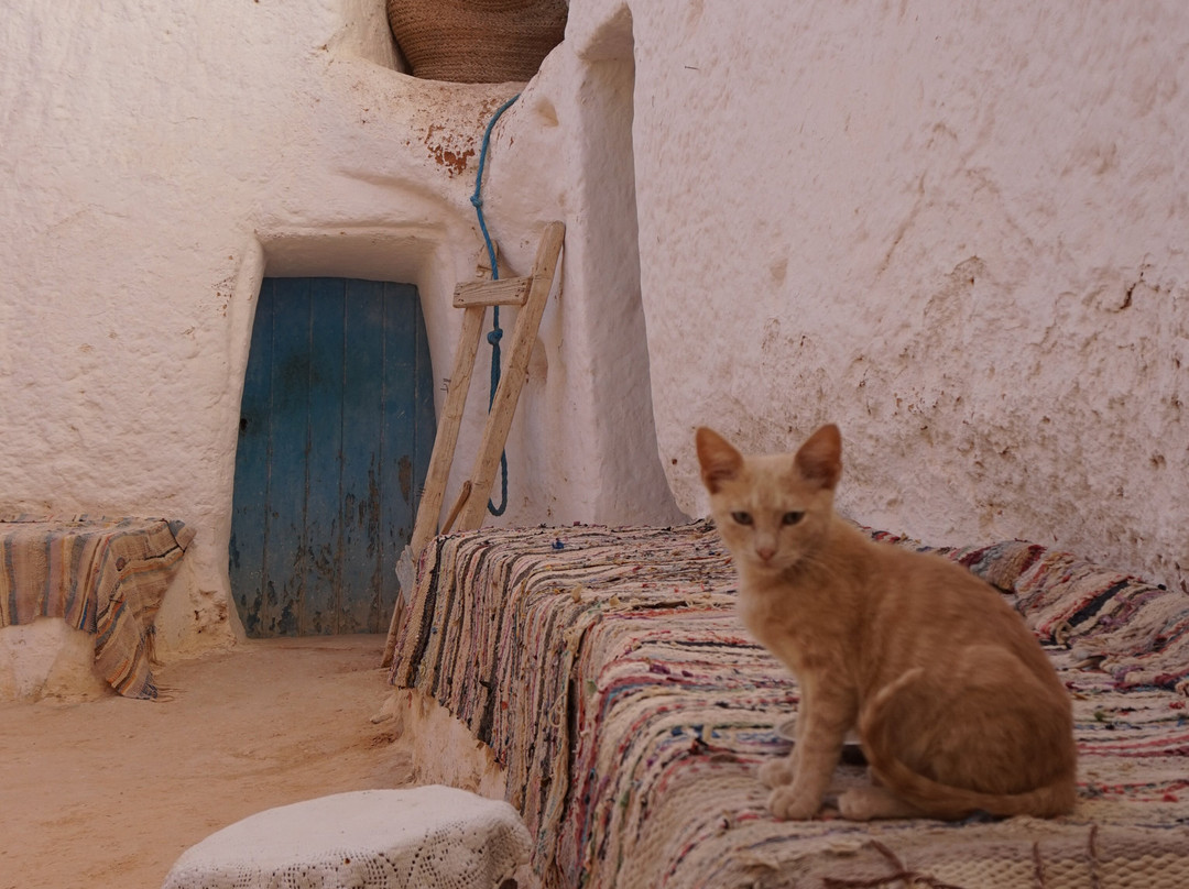 Caravane Du Sahara-Ghlissia必去景点