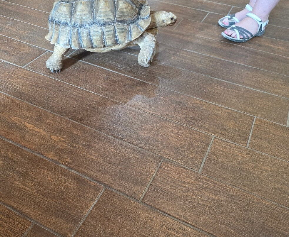 Reptisland-Melidoni必去景点