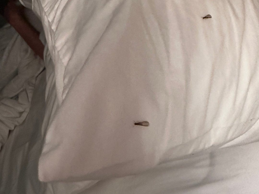 Waterside Suites & Marina主图