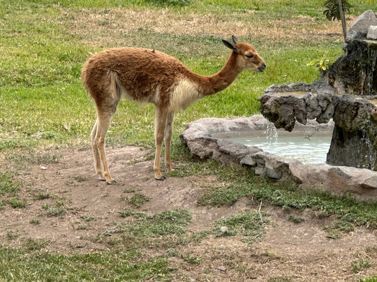 inPerú Expeditions-利马必去景点