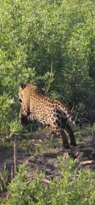 Nick's Adventures Bolivia-圣克鲁斯省必去景点