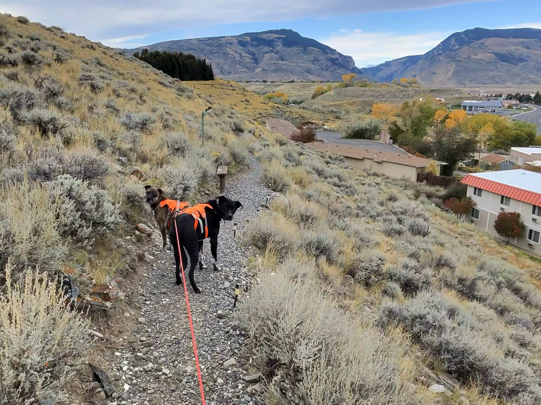 科迪速8酒店主图
