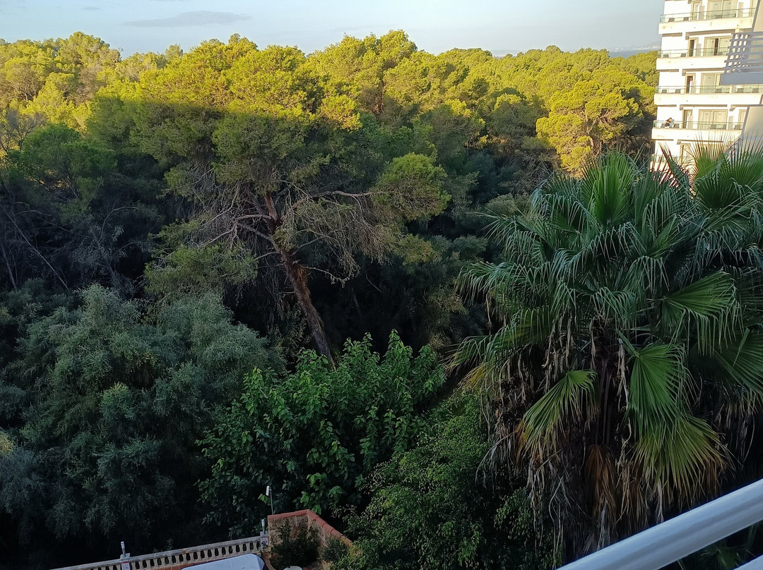 马瑙斯酒店主图