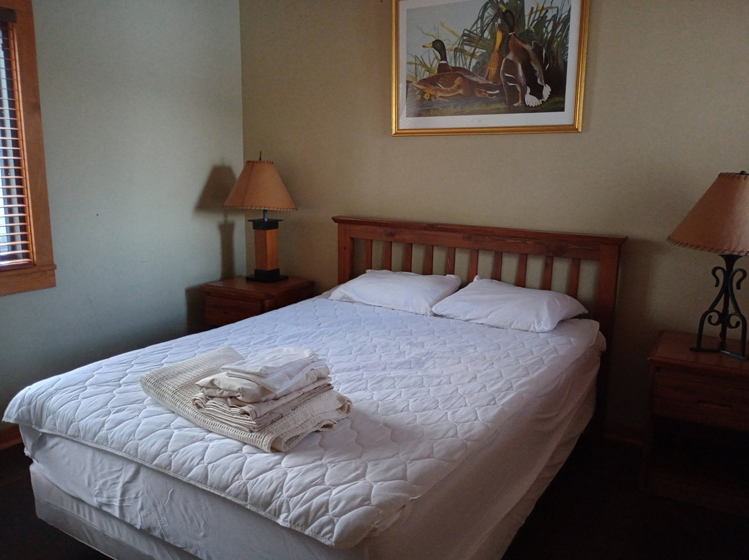 Chicot State Park-Ville Platte必去景点