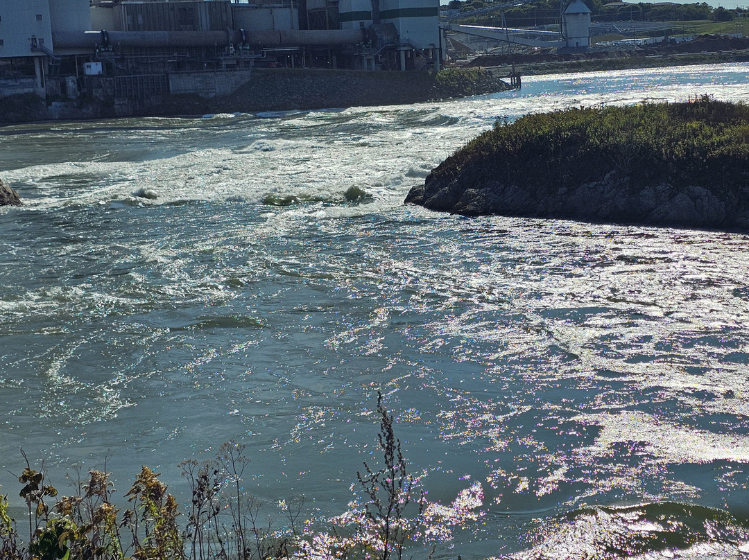 Reversing Falls Rapids-圣约翰必去景点