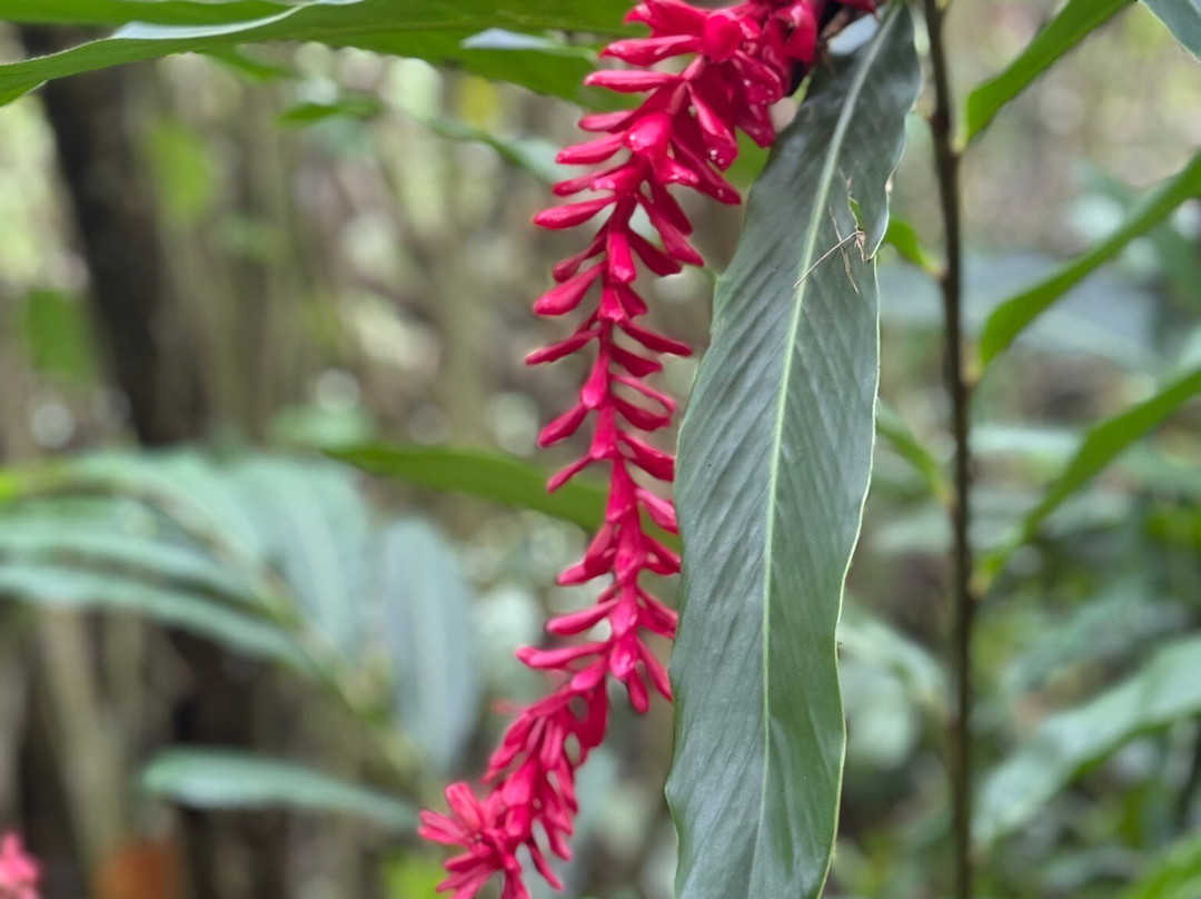 Fagatele Bay Trail-Futiga必去景点