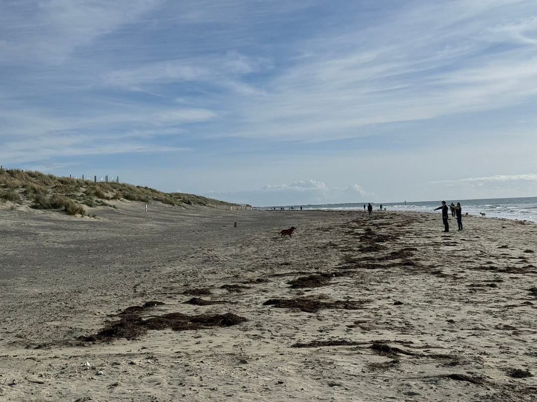West Wittering Beach-West Wittering必去景点