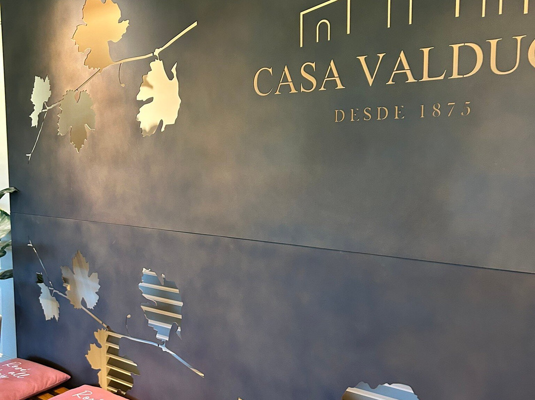 Casa Valduga Winery-本图贡萨尔维斯必去景点