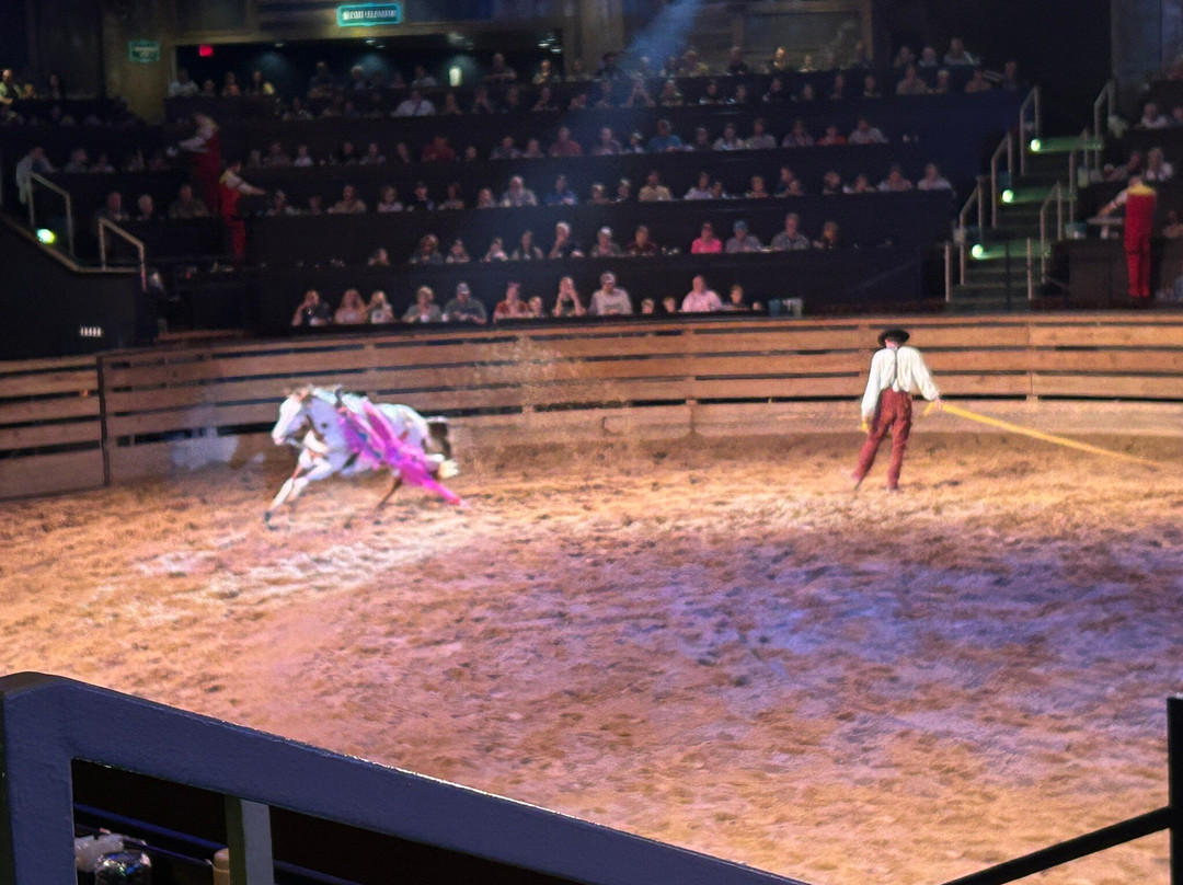 Dolly Parton's Stampede Dinner Attraction-布兰森必去景点