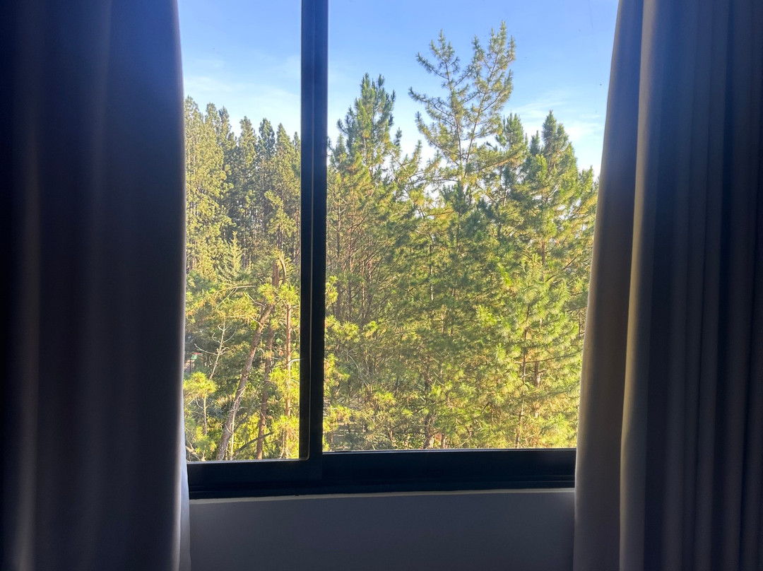 Dahilayan Forest Park Resort主图