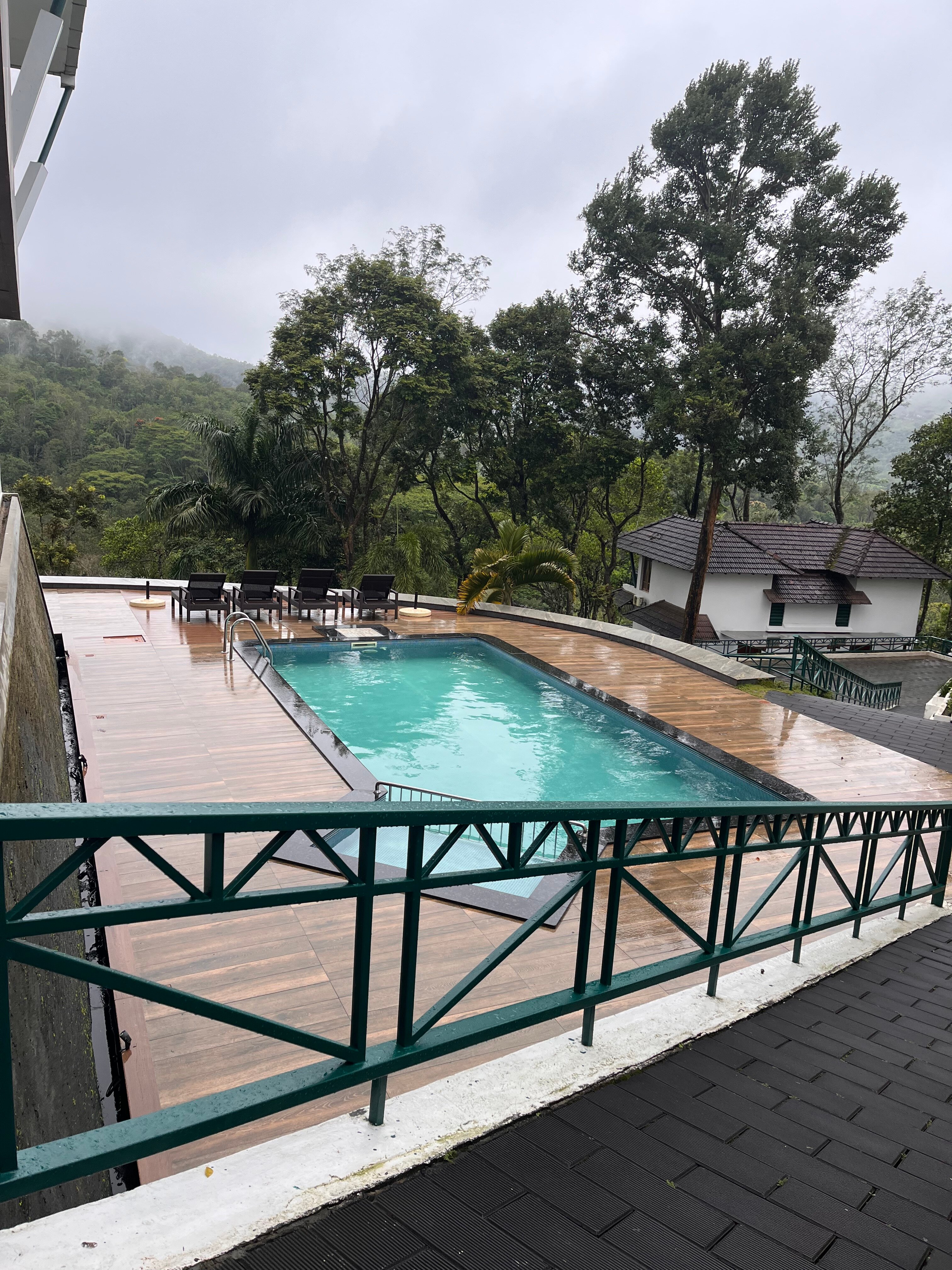 Forest Canopy Thekkady-官方
