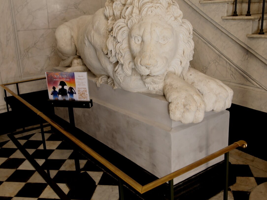 Bibliotheque Municipale Fesch-阿雅克肖必去景点