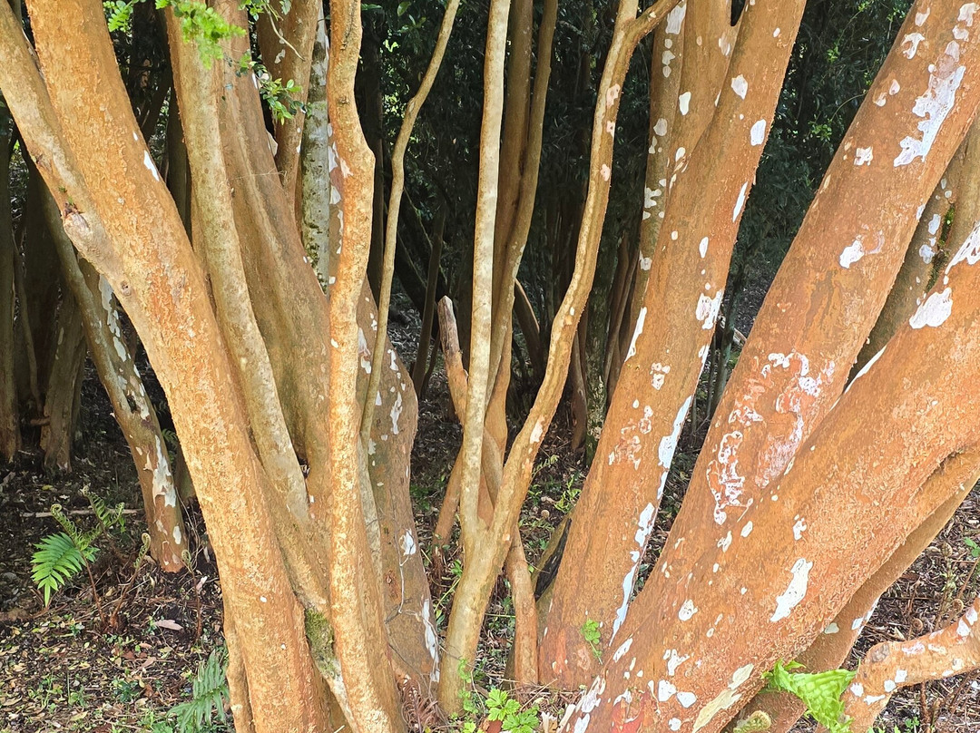 Lodge El Taique主图