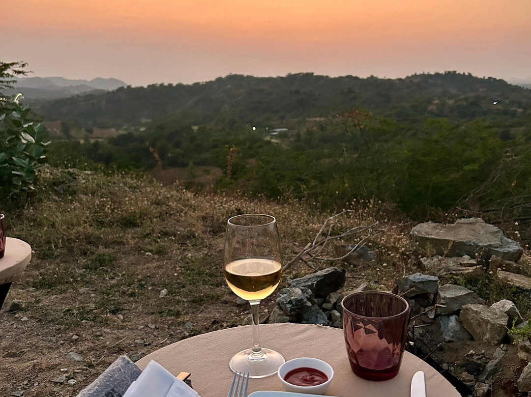 Bijapur Lodge Jawai主图