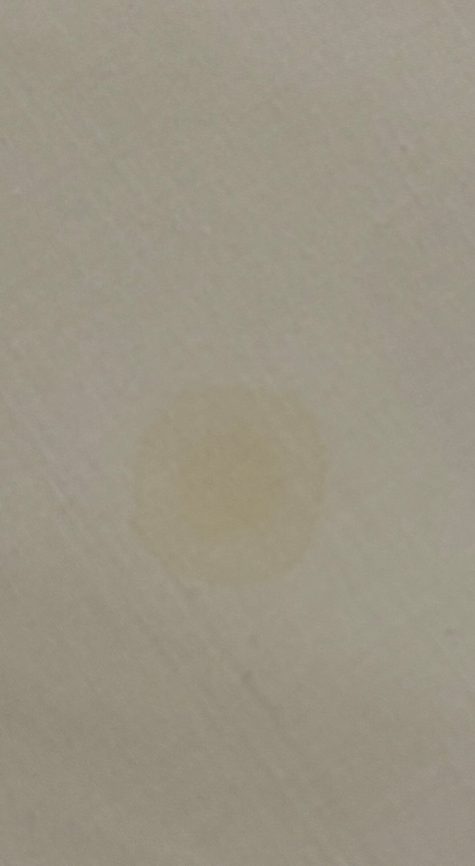 Hotel Restaurant Le Bourgneuf-客卧