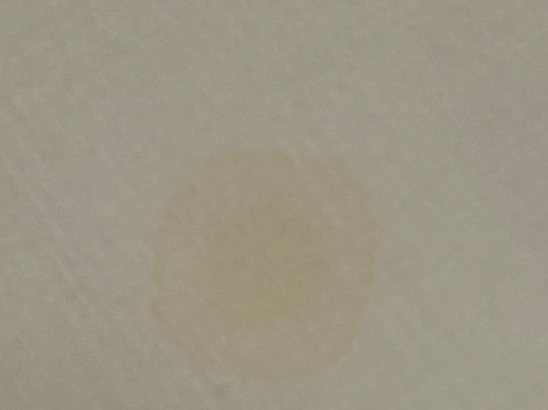 Hotel Restaurant Le Bourgneuf主图