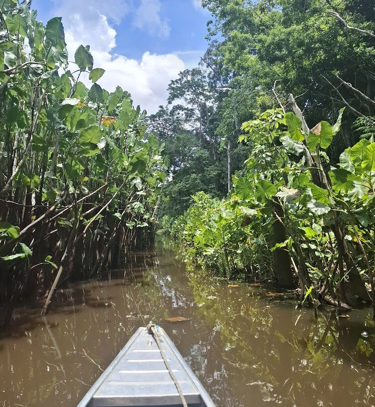 Amazon Maguta Jungle Lodge-莱蒂西亚必去景点