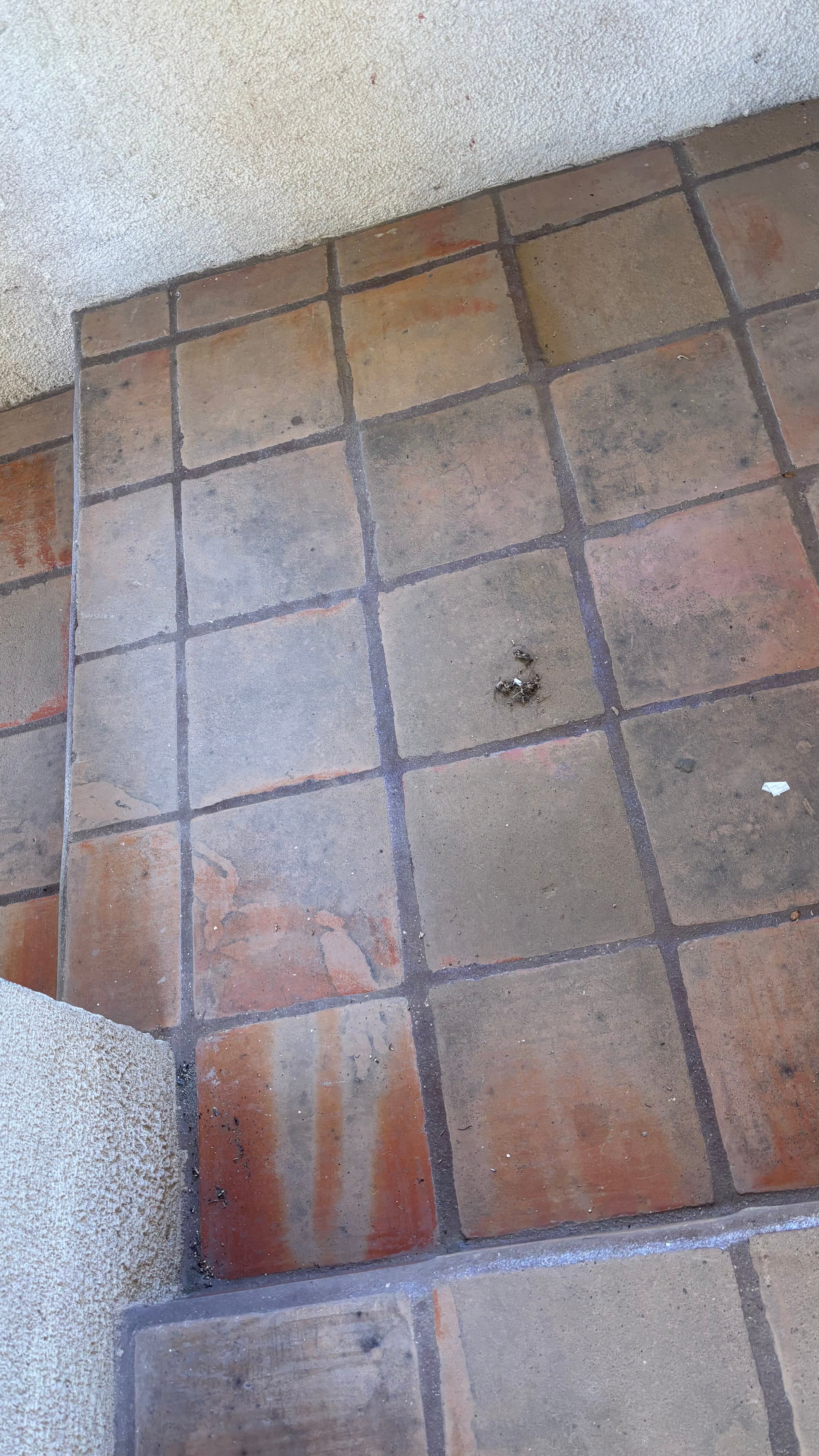 Quintas Papagayo-官方